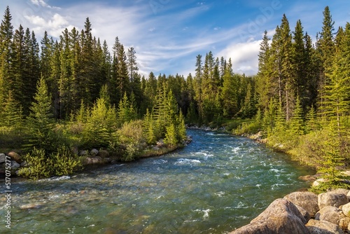 River Flowing Through A Forest