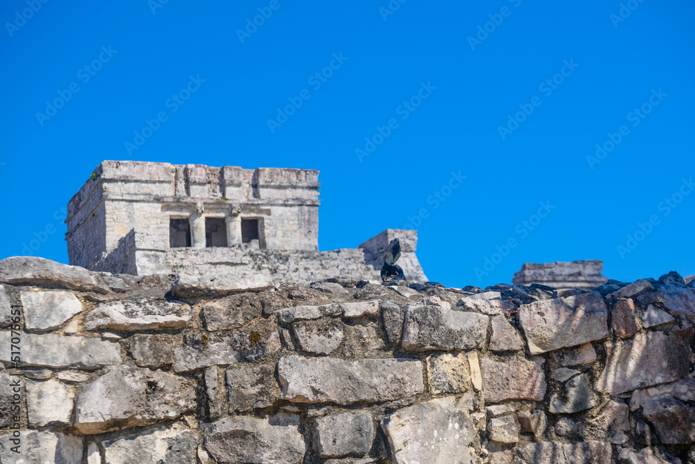 Gray iguana sitting on the stone wall of Mayan Ruins of The Castle in Tulum, Riviera Maya, Yucatan, Caribbean Sea, Mexico