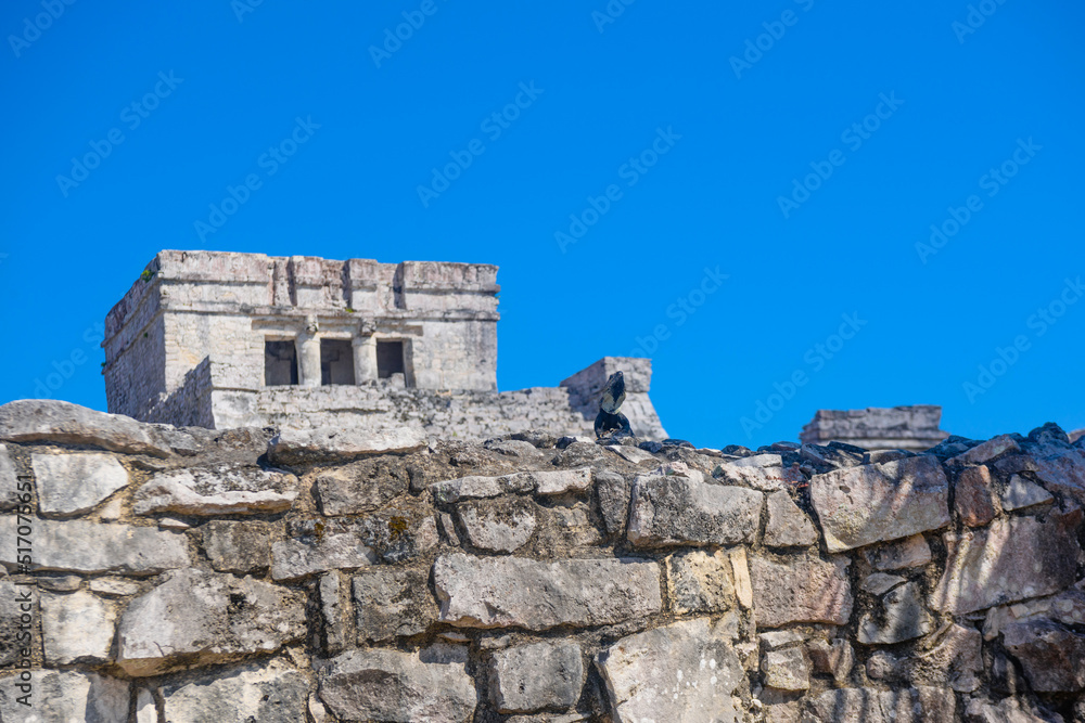 Fototapeta premium Gray iguana sitting on the stone wall of Mayan Ruins of The Castle in Tulum, Riviera Maya, Yucatan, Caribbean Sea, Mexico