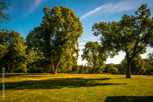 Tranquil green field with tall cottonwood trees at sunrise, meadow landscape at Tuthill Park in Sioux Falls, South Dakota photo