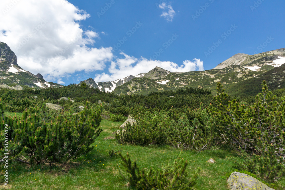 Obraz premium Landscape of Pirin Mountain near Popovo Lake, Bulgaria