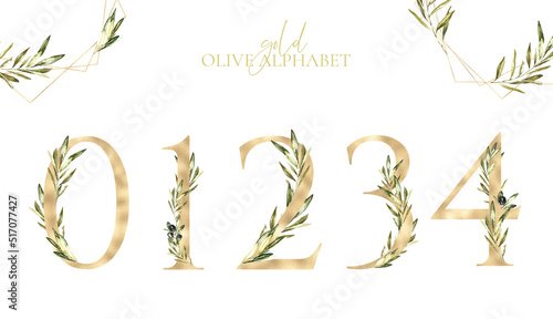 Watercolor Gold Olive Floral Number floral set digit 0,1,2,3,4. Botanical greenery number for Baby shower, table number, birthday,digital invite,wedding invitation, oh baby, milestone card diy photo