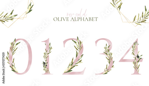 Watercolor Rose Gold Olive Floral Number floral set digit 0,1,2,3,4. Botanical greenery number for Baby shower, table number, birthday,digital invite,wedding invitation, oh baby, milestone card diy photo