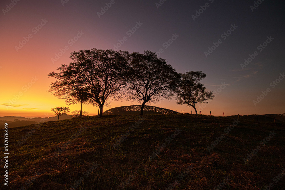 Sunset on the fields
