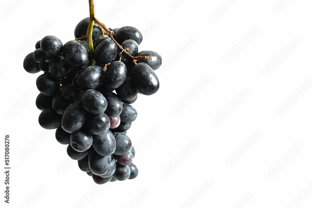black grapes isolated on white background black grapes isolated on white background
