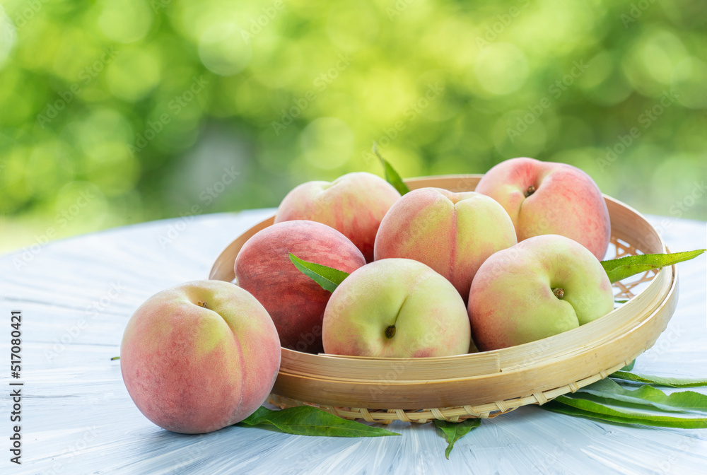 Yellow and Pink Peach fruit with leaf on blur garden background, Fresh Sweet Peach on wooden basket over natural farm background. Yellow and Pink Peach fruit with leaf on blur garden background, Fresh Sweet Peach on wooden basket over natural farm background.