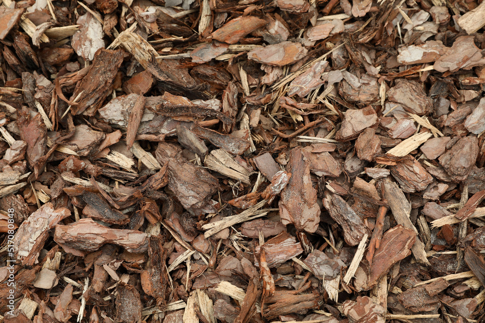 Tree bark pieces as background, top view Tree bark pieces as background, top view