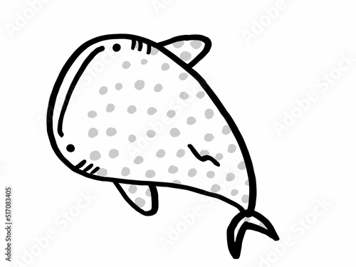 かわいいジンベイザメのモノクロイラスト／手描きイラスト素材