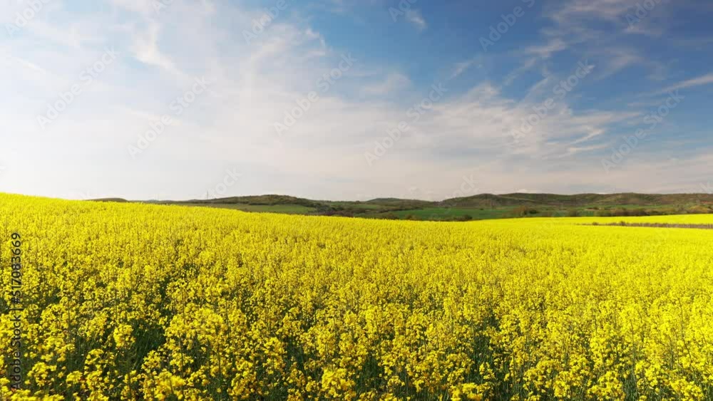 Fields with a plant in a valley against the background of the village and the sky in Bulgaria Fields with a plant in a valley against the background of the village and the sky in Bulgaria
