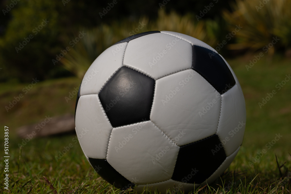 Fototapeta premium soccer ball on grass