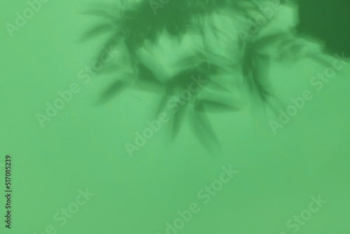 Shadow of tropical leaves o...