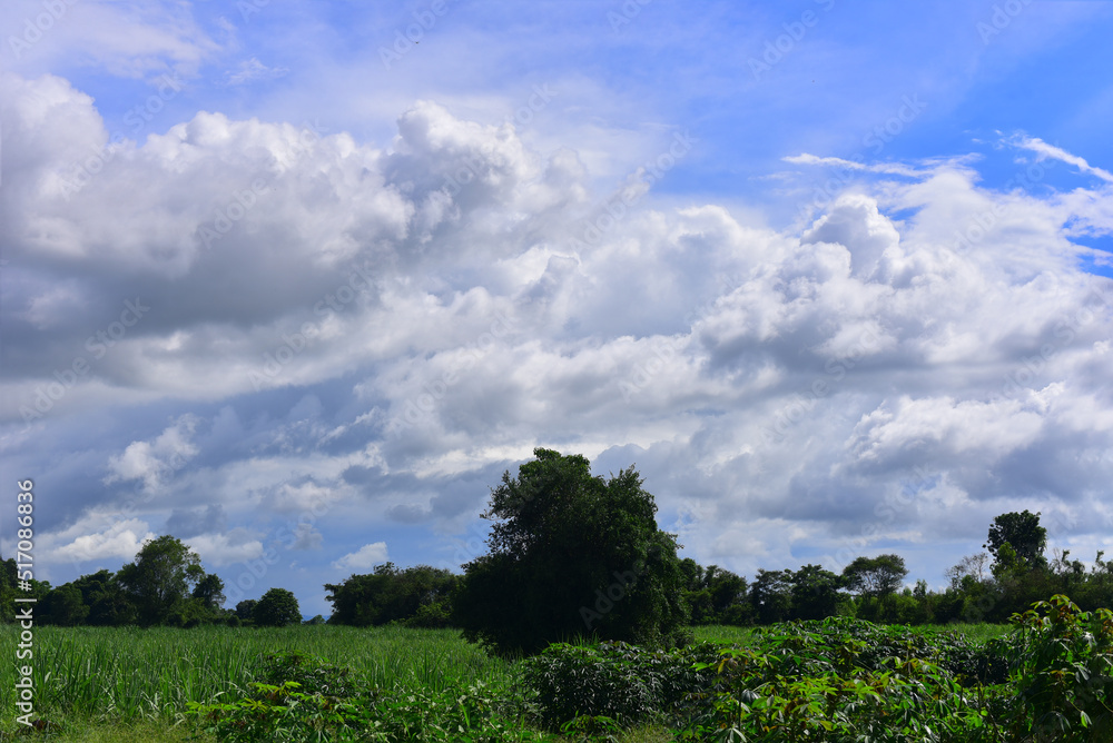 Beautiful sky. Cumulonimbus cloud and cirrus cloud Beautiful sky. Cumulonimbus cloud and cirrus cloud