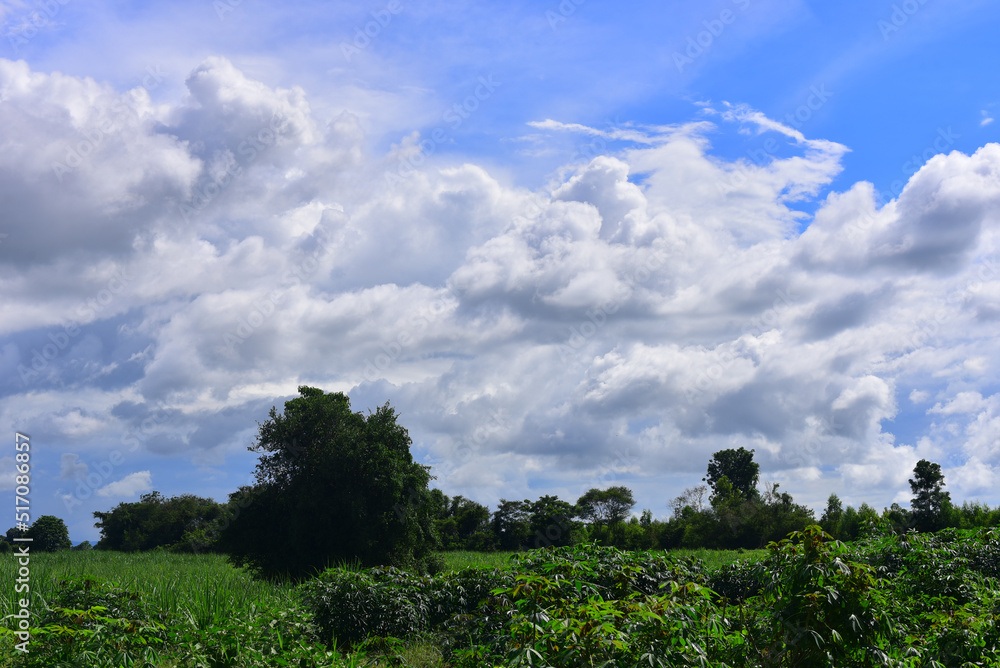 Beautiful sky. Cumulonimbus cloud and cirrus cloud Beautiful sky. Cumulonimbus cloud and cirrus cloud