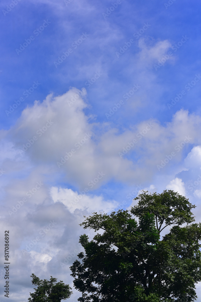 Beautiful sky. Cumulonimbus cloud and cirrus cloud Beautiful sky. Cumulonimbus cloud and cirrus cloud