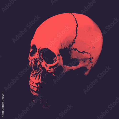 skull and crossbones half toned print