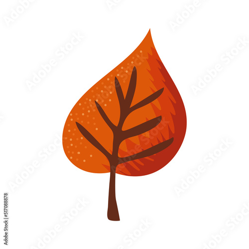 autumn orange dry leaf