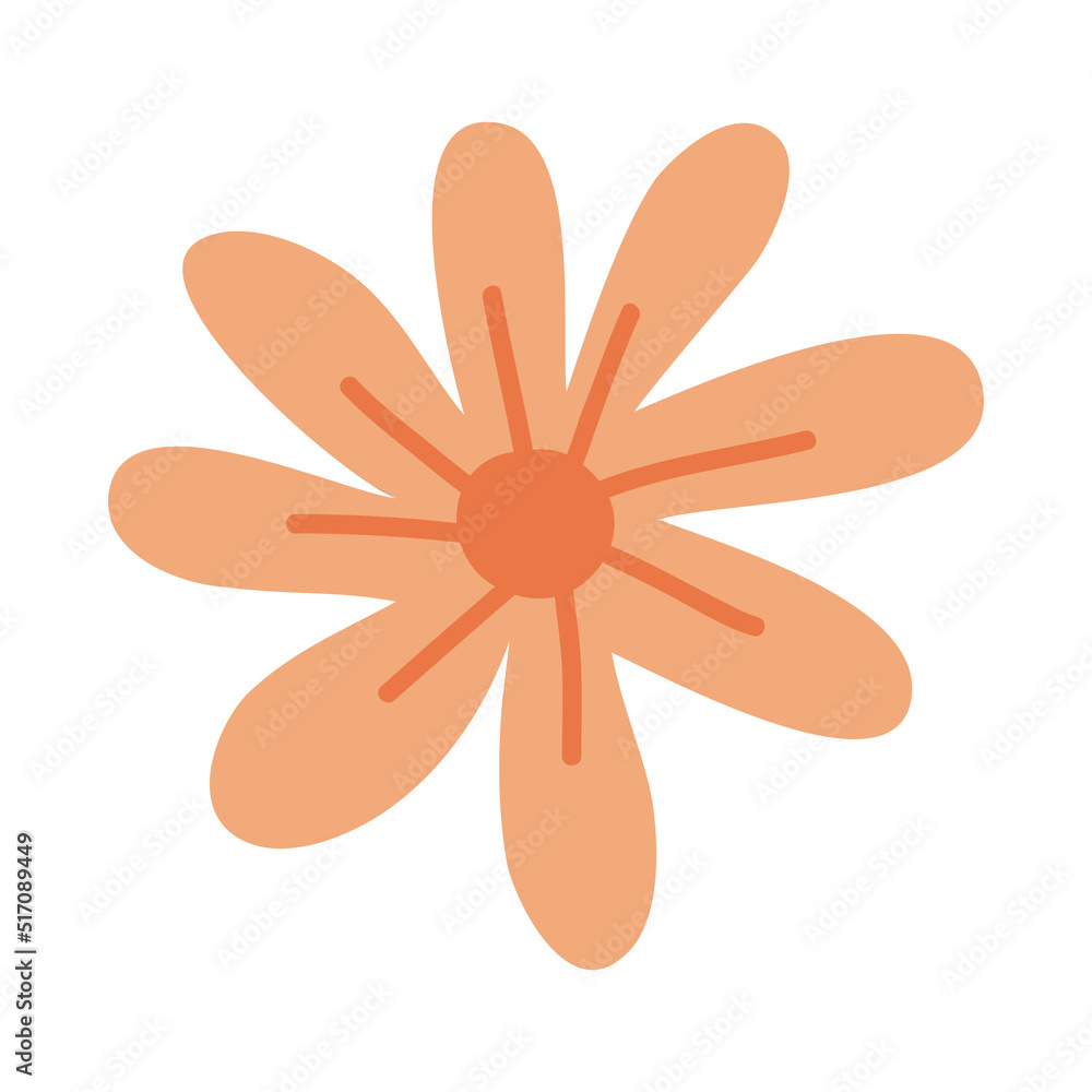 orange flower garden orange flower garden