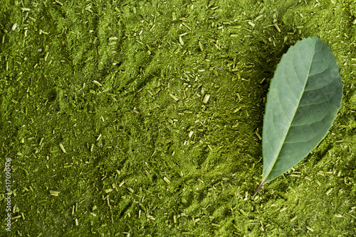 Foto Herb background for mate and yerba mate leaves