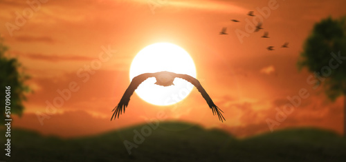 a silhouette eagle flying in clouds at sunset.