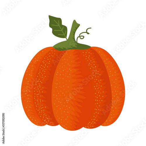 autumn season pumpkin