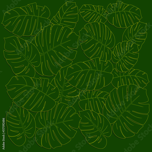 Vector illustration, EPS. Monstera leave pattern, placed on a green background and leave shadow. Beautiful, elegant pattern. Golden pattern. Outline pattern. tree pattern.