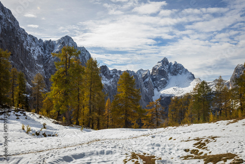 Beautiful Winter Autumn Colours of Larch Trees, Snow and High Mountains on location of Slemenova Spica in Julian Alps Slovenia © Fotopogledi