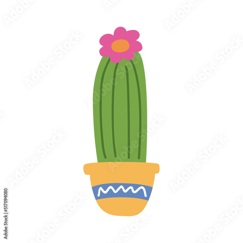 cactu plant in pot