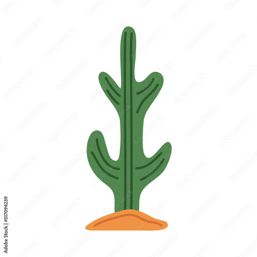 Obraz premium cactu plant with sand