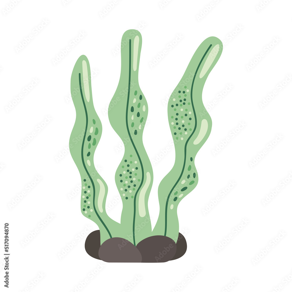 green seaweed plant green seaweed plant