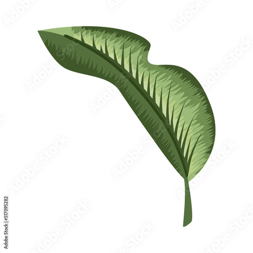leaf plant folded