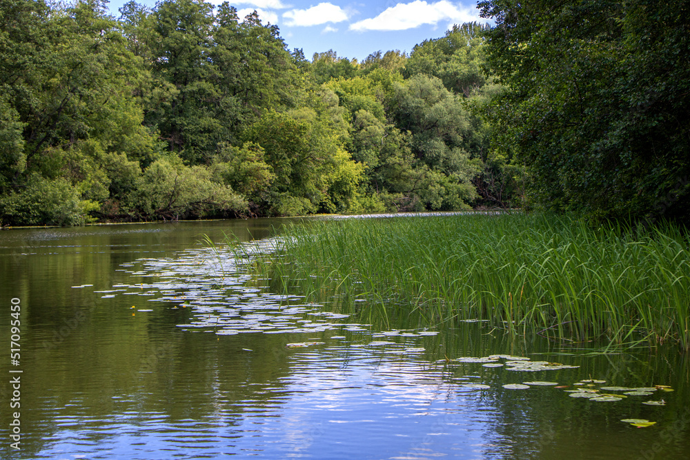 Landscape. Green banks, river bend, blue sky with clouds. Landscape. Green banks, river bend, blue sky with clouds.