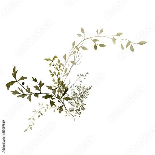 Watercolor floral bouquet. Hand painted set of greenery, wildflowers, herbs. Green leaves, field flowers isolated on white background. Botanical illustration for design, print or background