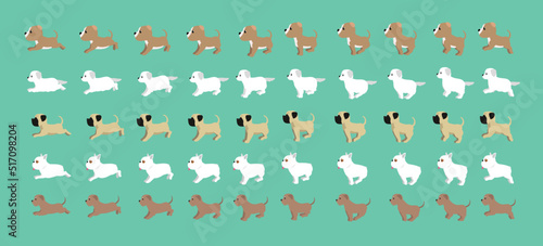 Dog Irish Wolfhound French Bulldog Mastiff Kuvasz Staffordshire Terrier Walking Running Cartoon Vector Set