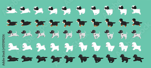 Dog Newfoundland Bichon Frise Pointer Bernese Havanese Walking Running Cartoon Vector Set