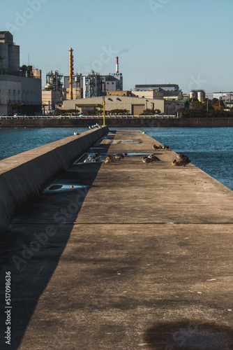 カモメと桟橋