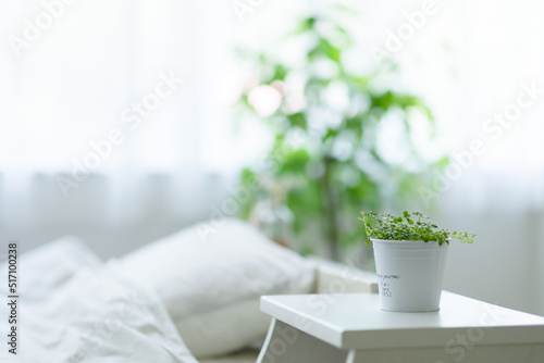 寝室に置かれた観葉植物 photo