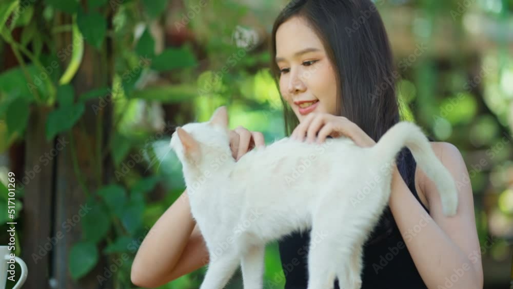 happiness cat owner asian female woman hand pet cuddle her white cat while sit relax in the garden at home,young asian woman playing with her cat in the garden happiness weekend lifestyle happiness cat owner asian female woman hand pet cuddle her white cat while sit relax in the garden at home,young asian woman playing with her cat in the garden happiness weekend lifestyle
