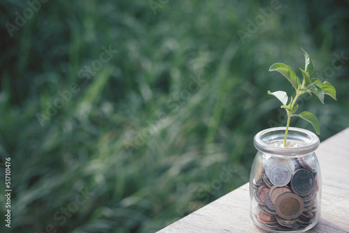 Plant growth in coins. Savings ideas for investment.