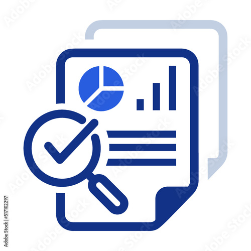 Audit, result, controling icon