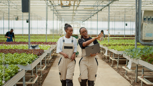 Two women working in greenhouse holding laptop walking and talking about growing organic lettuce and bio vegetables. African american farm workers discussing about harvesting plants for online orders.