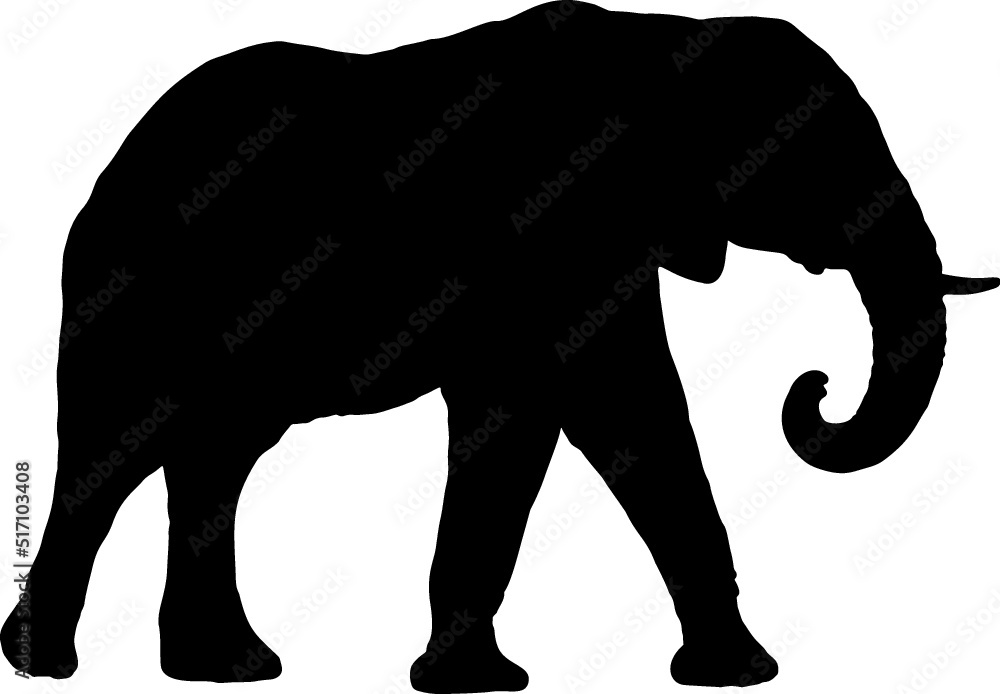 Fototapeta premium Isolated Elephant Silhouette in Vector