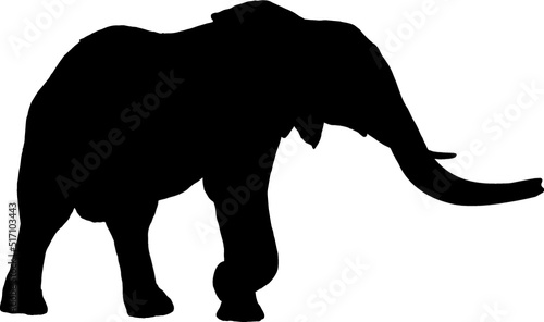 Isolated Elephant Silhouette in Vector