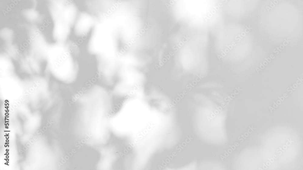 Closeup branch tree leaves silhouette shadow motion on wall, abstract background