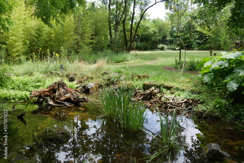 Teich mit Feuchtbiotop im Botanischen Garten Düsseldorf