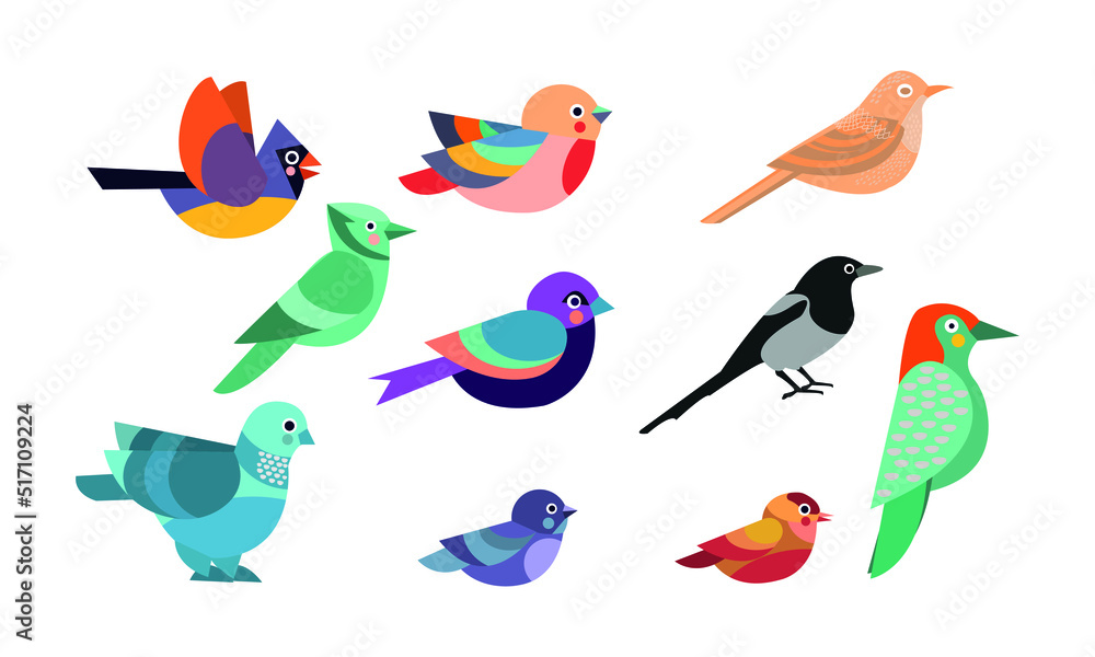 Vector collection with cartoon-style birds on a white background.