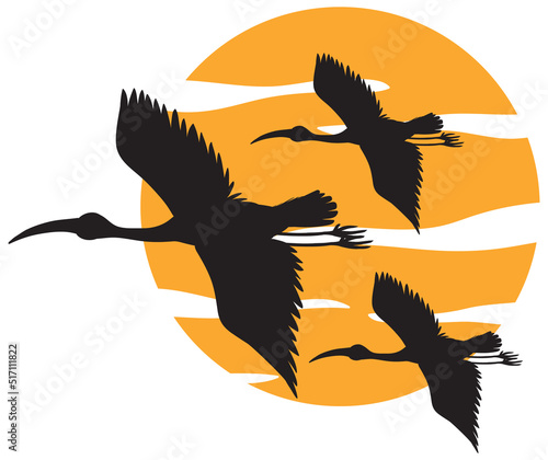 Silhouette stork birds flying