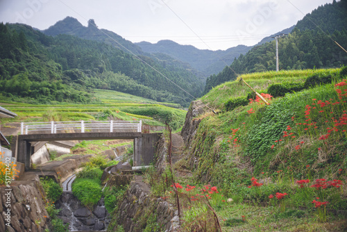 赤い彼岸花の咲く日本の田舎の田園風景 長崎県東彼杵郡波佐見町鬼木棚田