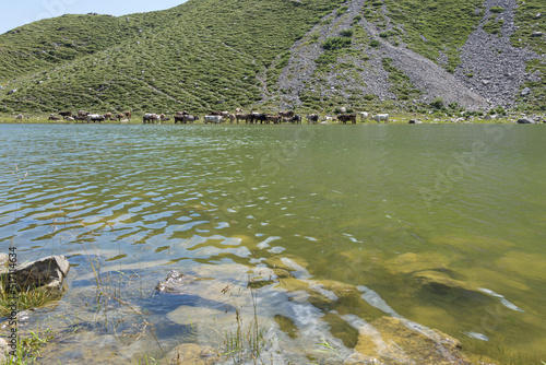 Laghetto di montagna