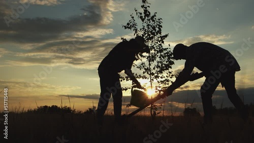 Silhouettes of happy old man and woman together watering, digging for plant tree on meadow at sunset outdoor. Family volunteers team activity : reforestation, environmental forest help for save nature