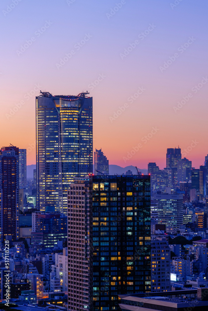 Tokyo Roppongi cityscape at magic hour.